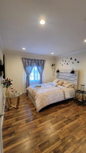 Adorable modern guesthouse with full kitchen